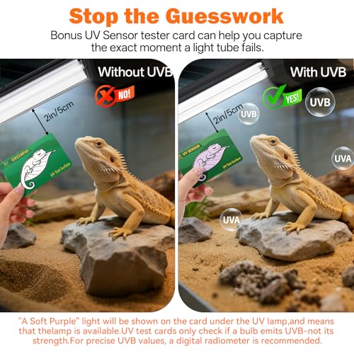 T5 UVB Reptile Light Fixture Combo Kit 8W: 10.0 HO UVB Light for Reptiles Terrarium Hood Comes with UVB Lamp, 12'' Linear UVB Light Bar for Desert Bearded Dragon,Turtle,Gecko - UV Sensor Test Card - size: 12.4INCH-10.0
