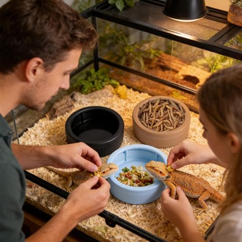 Reptile Bowl | Anti-Escape Worm Feeder Cups | Hermit Crab Water Dishes - for Gecko Bearded Dragon Lizards Hermit Crab Snail Pet Store Terrarium Tank