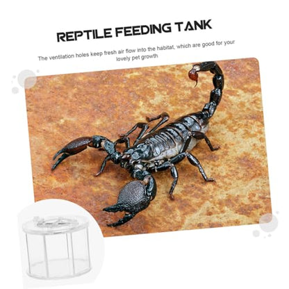 BESPORTBLE 2pcs Pet Display Box for Reptile Observation Reptile Breeding Container Ventilation for Animals Like Snakes Frogs and Turtles