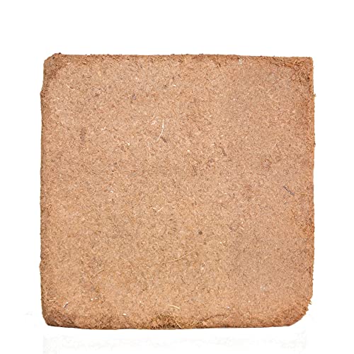 Home and Country Coco Coir Brick 50 Lbs Triple Washed Low EC Coconut Fiber Potting Soil Alternative for Indoor Plants Gardening Essentials and Mulch Compost Base - size: 50 Pound