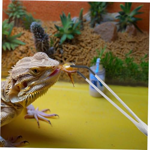 VILLCASE 2pcs Stainless Steel Curved Tweezers for Reptiles Lightweight Feeding Tongs with Rubber Tips for Snakes Turtles and Lizards Versatile Aquarium Tools