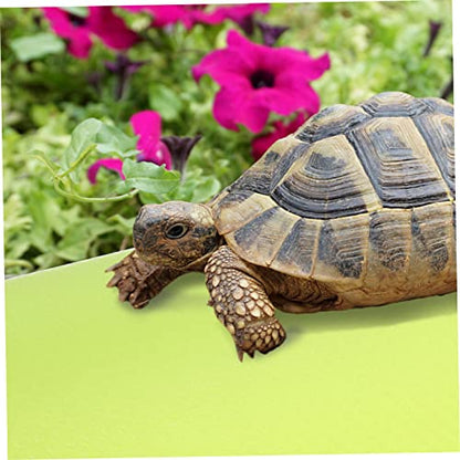 TOYANDONA Reptile Carpet Bedding for Terrarium Non Slip Washable Substrate Mat for Lizards Tortoises Snakes Durable Easy to Clean Reptile Accessories