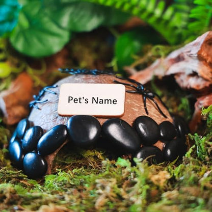 Reptile Hideouts, Handmade Handmade Reptile Home, Hide Cave for Crested Gecko, Leopard Gecko, Lizard, Snake, Crabs Hide Cave, Personalized Terrarium & Vivarium Décor（Spider） - style: Spider