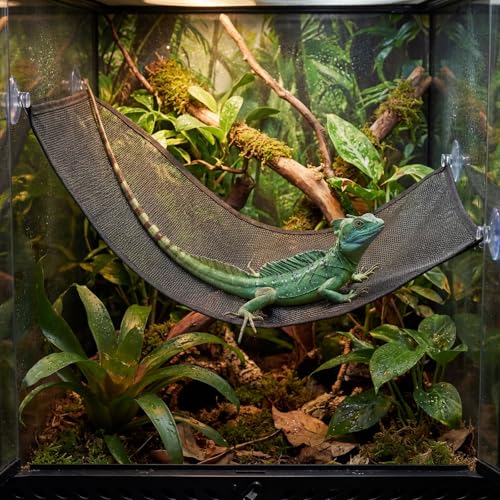 Bremorou Bearded Dragon Hammock Reptile Hammock with Suction Cups, Breathable Climbing Net Lounger for Lizard Gecko Snake Hermit Crab and Chameleon Reptile Tank Accessories Rectangle Black