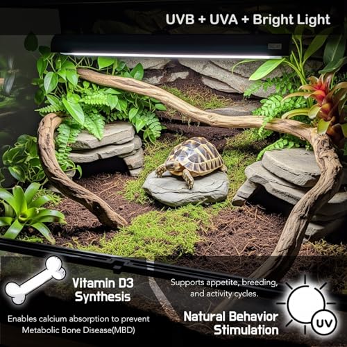 Upgraded T5 UVB Reptile Light, 10.0 UVB 24W German Made Fluorescent Lamp and Fixture Kit, for Desert-Dwelling Reptiles, Bearded Dragon UVB Lamp Bulb - size: 24W Reptile T5 UVB Light Kit