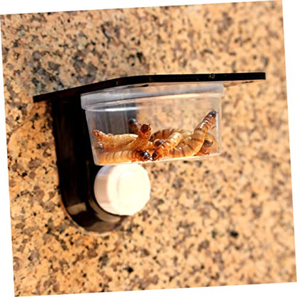 2pcs Black Reptile Feeding Bowl and Water Dish with Suction Cups Durable Pet Bowls for Tortoise Lizard and Other Reptiles Easy to Clean Space-Saving Design - size: Size 5