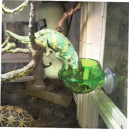 Toddmomy 2pcs Auto Water Feeder Lizard Gecko Feeder Reptile Food Bowl Drinking Basin Suction Cup Pet Supplies for Turtle Snake Spider