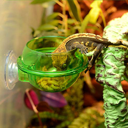 Suction Cup Reptiles Feeder Bowl Anti-Escape Food Bowl Drinker Bowl for Tortoise Iguana