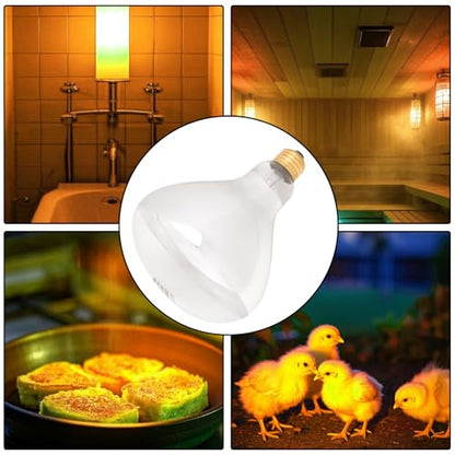 Aiicioo 250W R40 Clear Heat Lamp Bulb R40 Incandescent Heat lamp Bulb for Pets Flood Light Bulb for Chickens Clear Infrared Bath Light E26 Base 2 Pack