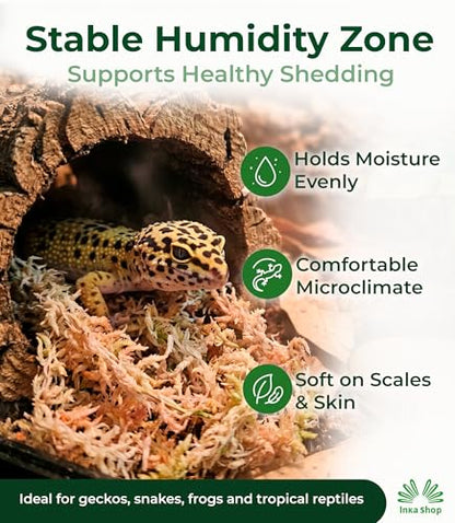 Sphagnum Moss for Reptiles Dried Long Fiber Natural Peruvian Bedding Terrarium Substrate Humid Hide Leopard Gecko Snake Frog Tortoise Turtle Tarantula Amphibian Vivarium Bioactive Enclosure 3.5 oz