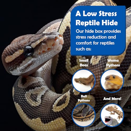 Pangea Reptile Hide Box, X-Large 16.25"x11"x4.5" | Fits Most Cages 2'x4' and up, Usable as Snake Tank Accessories, Good for Ball Python, Boas, Kingsnake - size: F- X-Large