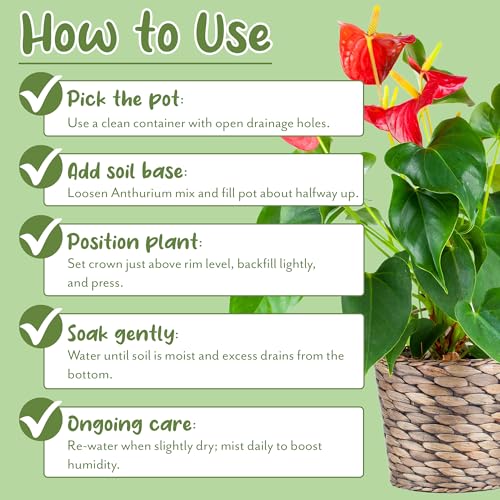 Soil Sunrise Anthurium Plant Potting Soil Mix (4 Quarts) Indoor Houseplant Custom Blend for Flowering Anthuriums - size: 4 Quarts