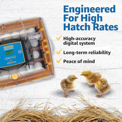 Brinsea Ovation 28 EX Incubator for Hatching Eggs with Automatic Humidity Control - Fully Automatic Chicken Egg Incubator with Digital Display - Holds Quail Duck and Turkey - style: Without Book