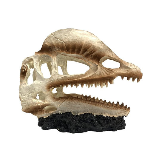 Aquarium Underwater Artificial Hideouts House Resin Aquarium Decorations Art Terrarium Habitat Ornament Fishtank Decorations Large Skull - color: B