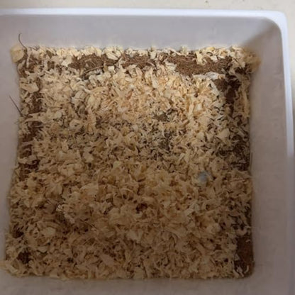 6 Pack Natural Coconut Fiber Reptile Carpet Laying Hen Nest Box Pads 10 x10 Nesting Box Liners for Lizard, Snake, Turtle, Birds, Bunny Habitat