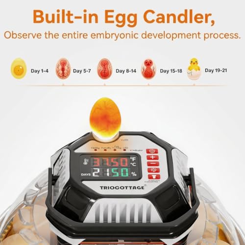 Incubators for Hatching Eggs, 12–18 Egg Capacity Digital Egg Incubator with Automatic Egg Turning and Accurate Humidity Control for Chicken, Quail, Duck