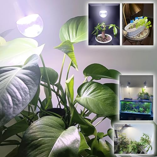ALIDE Full Spectrum Plant Grow Light Bulbs E26 A19 10W,Plant Growing Lamp Bulbs with Balanced Spectrum 5000K White Blue Red Yellow for Indoor Seeds Greens Laboratory Greenhouse Garden Hydroponic,2Pcs - size: E26-2