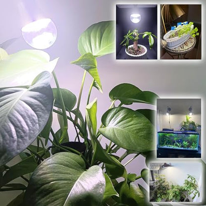 ALIDE Full Spectrum Plant Grow Light Bulbs E26 A19 10W,Plant Growing Lamp Bulbs with Balanced Spectrum 5000K White Blue Red Yellow for Indoor Seeds Greens Laboratory Greenhouse Garden Hydroponic,2Pcs - size: E26-2