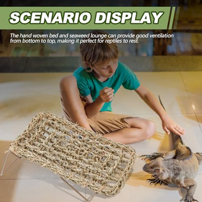 Soaoo 2 Pcs Bearded Dragon Hammock Lizard Reptile Tank with Metal Legs Collapsible Rectangle Bed Gecko Climbing Accessories for Habitats Small Animals Snake Iguana Amphibian Hermit Crab
