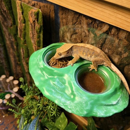 Tfwadmx Magnetic Reptile Feeder Ledge, Gecko Feeder Ledge with 4 Cups Reptile Feeding Bowl Terrarium Accessories for Geckos Lizards Chameleons Frog (Green) - color: Green