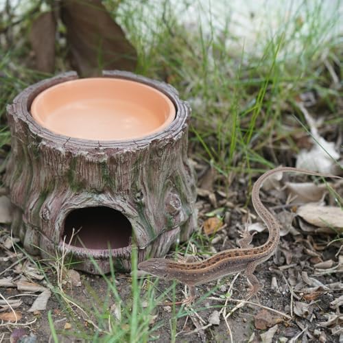 Reptile Hideout with Detachable Base and Humidity Dish, Gecko Hide Climbing Toy Tank Accessories, Terrarium Decor, Reptile Hide Cave for Crested Gecko,Lizard, Snake, Crabs