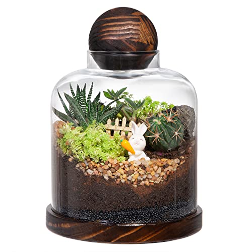 Yangbaga Large Glass Terrarium Succulent Plant Terrarium House for Plant/Moss Ball/Glass Fish Tank Mini Table with Wood Base & Ball lid Office Home Decoration - size: H-7IN