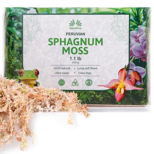 Long Fiber Sphagnum Moss for Indoor Plants Peruvian Orchid Moss Ultra Clean Odor Free Fast Expanding Moisture Retention Airy Drainage for Aroids Carnivorous Plants Terrarium Reptile Bedding (1.1lb) - size: 1.1lb
