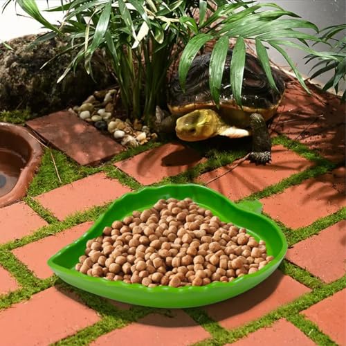La La Pet®Set of 3 Tortoise Water Dish with Ramp Tortoise Food Dish Water Bowl Reptile Bathing Pool Feeding Dish Aquarium Ornament for Gecko/Snake/Bearded Dragon/Lizard