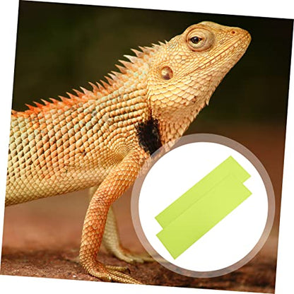 Totority 2pcs Reptile Carpet Bedding Liner and Washable Mat for Tanks for Snakes Turtles and Lizards Easy to Clean Reptile Habitat