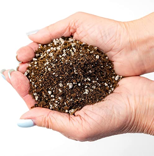 Premium Organic Seed Starter Soil - 10 Quart - All-Purpose Organic Potting Soil for Happy Seedlings and Plants by Gardenera (2 Bags of 5 Quart) - size: 10 Quart Bag, style: #2 SEED STARTER MIX
