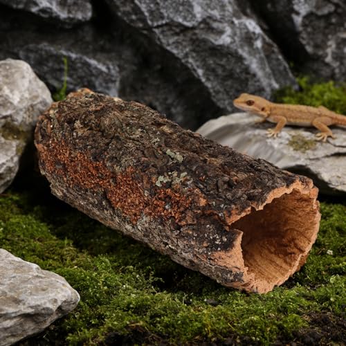 Reptile Hide: Hollow Cork Bark Log for Terrarium Bearded Dragon or Gecko Tank Accessories - Natural Looking Basking Hideout for Lizard Snake Axolotl 9x4x3.5