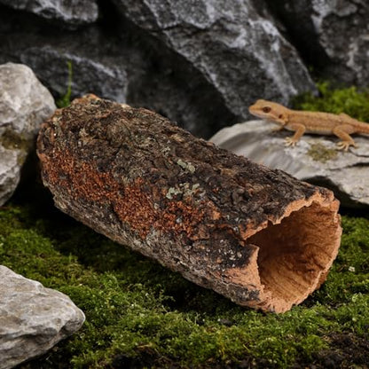 Reptile Hide: Hollow Cork Bark Log for Terrarium Bearded Dragon or Gecko Tank Accessories - Natural Looking Basking Hideout for Lizard Snake Axolotl 9x4x3.5