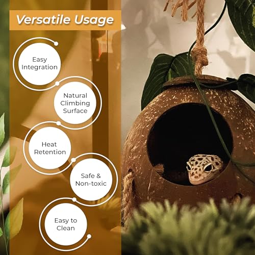 Hermit Crab, Hamster Coconut Cave Hide with Ladder, Reptile & Snake Natural Coco Shell Hut Hideout, Gerbils Mice Small Animals House Pet Cage Habitat Decor, with Sticky Wall Hook - style: Small