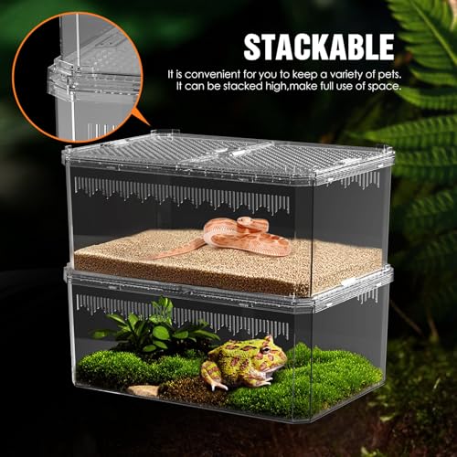 【No Assembly】 Breathable and Secure Reptile Tank with high Transparency - Ideal Container House for Hermit Crab, Tarantula Enclosure, Turtle Tank or Jumping Spider Habitat (M)