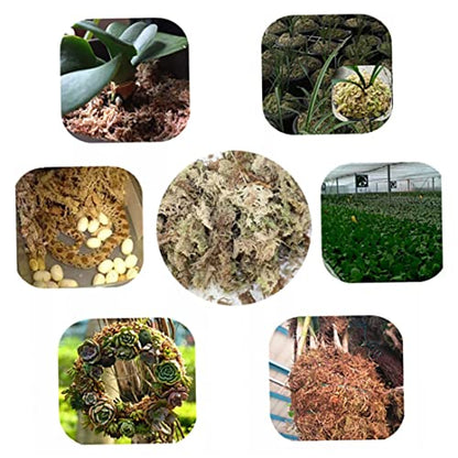 Sphagnum Moss Dried Spagnum Dry Moss for Reptiles Bedding and Terrarium Pet Supplies 150g9999Sphagnum Dried Dry for Reptiles Reptile Spagnum for Plants