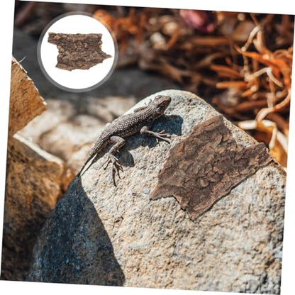 20pcs Terrarium Tree Bark Decor for Reptile Tanks Natural Aquarium Background Bark Decoration Habitat for Lizards and Snakes Random Shapes - size: 10.00X9.00X0.50CM
