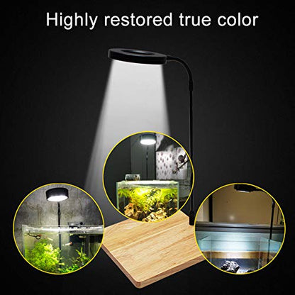 Full Spectrum LED Aquarium Light, 360-degree Adjustable LED Light with Bamboo Board, Miniature Landscape USB Powered Lamp for Plant, Fish Tank, Potted Plants(Size:M) - size: M