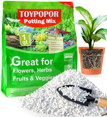 TOYPOPOR Perlite for Plants, 3-6mm Organic Perlite for Gardening, Perlite for Plants Indoor, Soil Additive Conditioner Mix Improve Drainage and Ventilation Promote Root Growth and Soil Health 1qt - color: Perlite, size: 1 qt