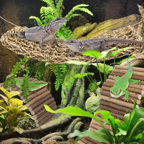 QUOZUO Bearded Dragon Tank Accessories, 3pack Reptile Habitat Hammock Natural Seagrass and Natural Wood Bendable Bridge for Climbing, Hermit Crab, Lizard, Mice, Spiders, Turtle, Snake