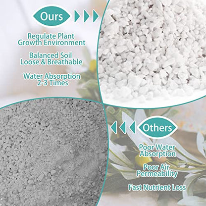 Legigo 2 QT Organic Horticultural Perlite & 2 QT Horticultural Charcoal, Natural Soil Amendment for Superior Drainage, Aeration, and Healthy Root Systems in Indoor Plants, Orchids, Terrariums & Pottin