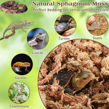 ZeeDix 1.1 LB Premium Sphagnum Moss for Reptiles, 25 QT Dried Long Fibered Leopard Gecko Moss for Terrarium, Natural Sphagnum Peat Moss Bedding for Frogs Anoles Snake Ball Python Turtle - size: 1.1 LB