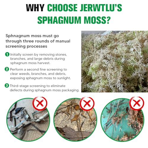 Natural Long Fiber Sphagnum Moss 34QT for Orchid Potting Mix, and Moss Pole for Plants Indoor. Ideal for Propagating Plants, Maintaining Humidity for Reptiles, Isopods in Paludarium, Aquascape (10 OZ)