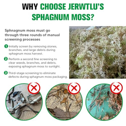 Natural Long Fiber Sphagnum Moss 82QT for Orchid Potting Mix,and Moss Pole for Plants Indoor.Ideal for Propagating Plants,Maintaining Humidity for Reptiles, Isopods in Paludarium, Aquascape (1.5 lb) - size: 1.5 LB