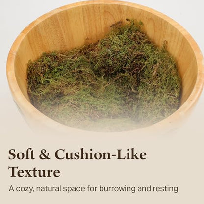 The Habitat Life - Natural Deco Moss - for Reptiles, Amphibians & Invertebrates Terrariums - Humidity Control - Natural Look & Feel - Soft Surface - Dye-Free & Safe - Small - 1 Pack - size: Small, style: Deco Moss