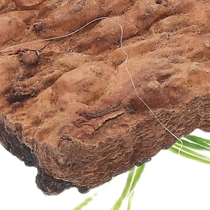 GANAZONO 20pcs Natural Cork Bark Reptile Background for Terrarium Tree Bark Platform and Hideout for Lizards Snakes Turtles Reptile Tank Decor with Climbing and Shelter Features