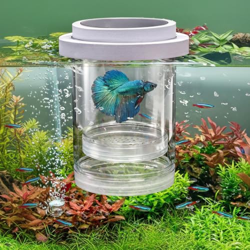 Breeder Box for Fish Tank, 2 Pieces, Floating | Plastic Aquarium Isolation Box, Mesh Fish Nursery Separator Tank Hatchery Incubator for Shrimp, Betta, Clownfish, Guppy