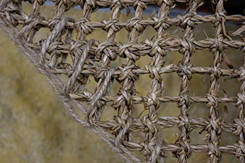 PENN-PLAX Reptology Lizard Lounger Corner Triangle – 100% Natural Seagrass Fiber – Great for Bearded Dragons, Anoles, Geckos, Iguanas, and Other Reptiles – Small - size: Small