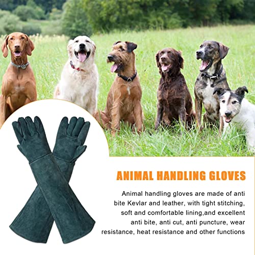 Animal Handling Gloves - Protective Pet Grooming Mitts, Scratch Resistant Cat Safety Gear | Reptile Handling Glove Leather, Puncture Proof Dog Training Gloves for Veterinary Use Wildlife Care - color: B