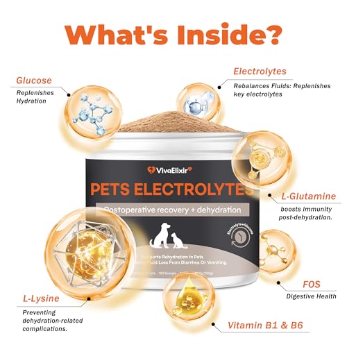Electrolytes for Dogs – Vet-Formulated Hydration Supplement– Supports Post-Surgery & Illness Recovery– Helps Replenish Fluids & Electrolytes Lost from Diarrhea, Vomiting & Poor Appetite