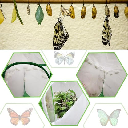 EATAKWARD Mesh Plant Enclosure, 15.7'' X 15.7'' X 2'' Pop-Up Foldable Mesh Cage for Breeding, Grow Tent Plant Cover for Fruit, Vegetables, Pests, Bird and Pest Protection Guard for Flowers and Herbs - size: 15.7'' X 15.7'' X 2''